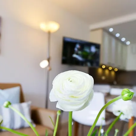Apartment Haus Frauenpreiss F206 *